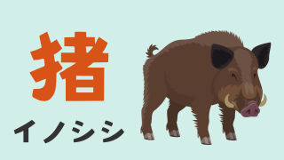 イノシシ