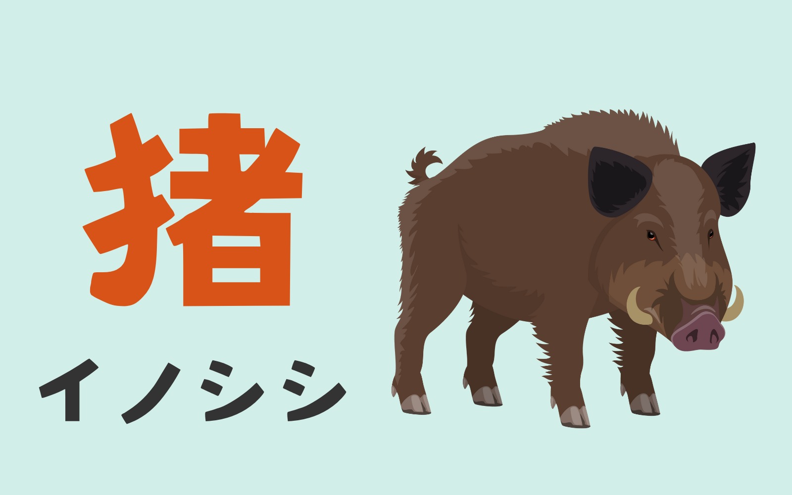 イノシシ