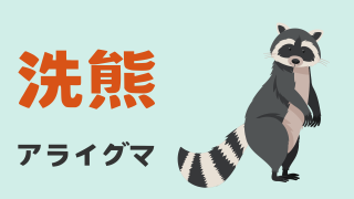 アライグマ