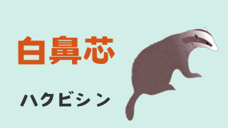 ハクビシン