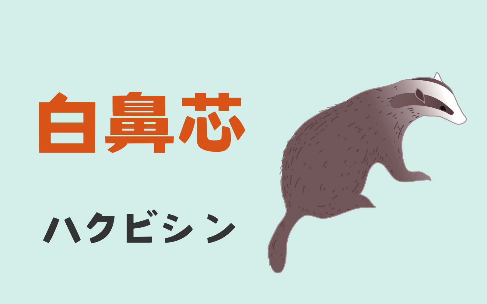 ハクビシン