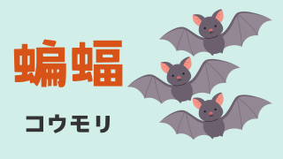 コウモリ